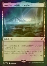 ヨーグモスの墳墓、アーボーグ/Urborg, Tomb of Yawgmoth(TSR/土地R/日/foil/NM) ※詳細要確認