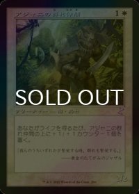 [FOIL] アジャニの群れ仲間/Ajani's Pridemate (旧枠) 【日本語版】 [TSR-白TS]