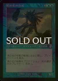 [FOIL] 真の名の宿敵/True-Name Nemesis (旧枠) 【日本語版】 [TSR-青TS]
