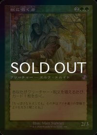[FOIL] 獣に囁く者/Beast Whisperer (旧枠) 【日本語版】 [TSR-緑TS]