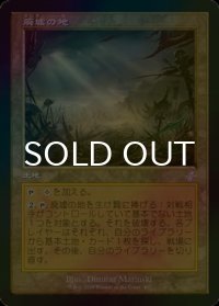 [FOIL] 廃墟の地/Field of Ruin (旧枠) 【日本語版】 [TSR-土地TS]