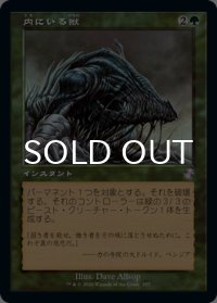 内にいる獣/Beast Within (旧枠) 【日本語版】 [TSR-緑TS]