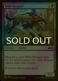 [FOIL] 野生の雑種犬/Wild Mongrel 【英語版】 [UMA-緑C]