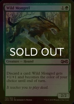 画像1: [FOIL] 野生の雑種犬/Wild Mongrel 【英語版】 [UMA-緑C]