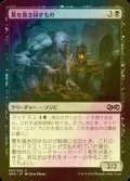 [FOIL] 墓を掻き回すもの/Grave Scrabbler 【日本語版】 [UMA-黒C]