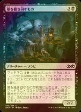 [FOIL] 墓を掻き回すもの/Grave Scrabbler 【日本語版】 [UMA-黒C]