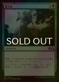 [FOIL] 強大化/Become Immense 【日本語版】 [UMA-緑U]