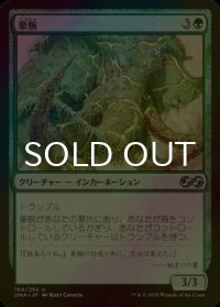 [FOIL] 豪腕/Brawn 【日本語版】 [UMA-緑U]