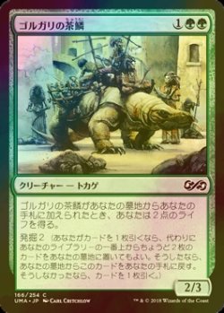 画像1: [FOIL] ゴルガリの茶鱗/Golgari Brownscale 【日本語版】 [UMA-緑C]