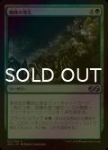 [FOIL] 蜘蛛の発生/Spider Spawning 【日本語版】 [UMA-緑U]