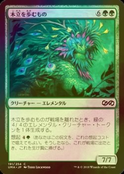 画像1: [FOIL] 木立を歩むもの/Walker of the Grove 【日本語版】 [UMA-緑C]