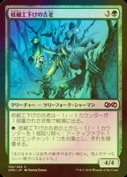 画像1: [FOIL] 枝細工下げの古老/Wickerbough Elder 【日本語版】 [UMA-緑C]