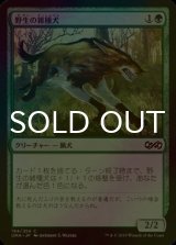 [FOIL] 野生の雑種犬/Wild Mongrel 【日本語版】 [UMA-緑C]