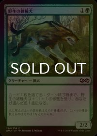 [FOIL] 野生の雑種犬/Wild Mongrel 【日本語版】 [UMA-緑C]
