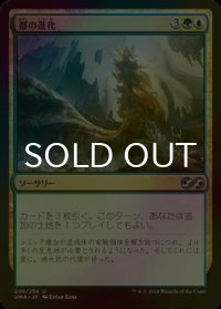 [FOIL] 都の進化/Urban Evolution 【日本語版】 [UMA-金U]