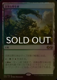 [FOIL] 活発な野生林/Stirring Wildwood 【日本語版】 [UMA-土地R]