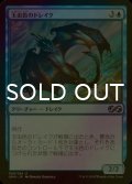 [FOIL] 玉虫色のドレイク/Iridescent Drake 【日本語版】 [UMA-青U]