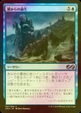 [FOIL] 潮からの蘇生/Rise from the Tides 【日本語版】 [UMA-青U]