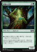 新緑の幻霊/Verdant Eidolon 【日本語版】 [UMA-緑C]