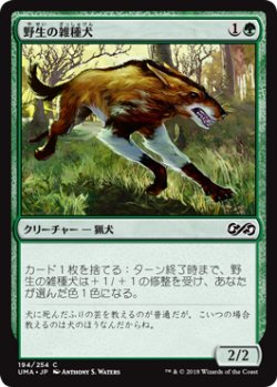 画像1: 野生の雑種犬/Wild Mongrel 【日本語版】 [UMA-緑C]