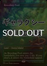 [FOIL] 繁殖池/Breeding Pool (全面アート版、ギャラクシー仕様) 【英語版】 [UNF-土地R]