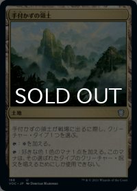 手付かずの領土/Unclaimed Territory 【日本語版】 [VOC-土地U]