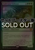 [FOIL] 耕作する巨躯/Cultivator Colossus ● (日本産ブースター版) 【英語版】 [VOW-緑MR]