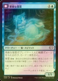 [FOIL] 悪戯な猫霊/Mischievous Catgeist 【日本語版】 [VOW-青U]