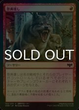 [FOIL] 祭典壊し/End the Festivities 【日本語版】 [VOW-赤C]