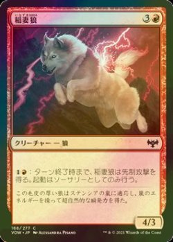 画像1: [FOIL] 稲妻狼/Lightning Wolf 【日本語版】 [VOW-赤C]