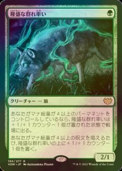 画像1: [FOIL] 隆盛な群れ率い/Ascendant Packleader 【日本語版】 [VOW-緑R]
