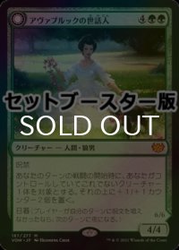 [FOIL] アヴァブルックの世話人/Avabruck Caretaker ● (日本産ブースター版) 【日本語版】 [VOW-緑MR]