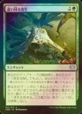 [FOIL] 這い回る寄生/Crawling Infestation 【日本語版】 [VOW-緑U]