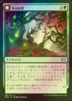 画像1: [FOIL] 休樹林帯/Dormant Grove 【日本語版】 [VOW-緑U]