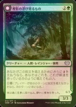 画像1: [FOIL] 樫影の忍び寄るもの/Oakshade Stalker 【日本語版】 [VOW-緑U]