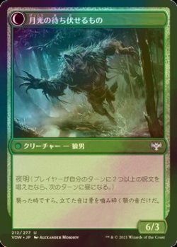 画像2: [FOIL] 樫影の忍び寄るもの/Oakshade Stalker 【日本語版】 [VOW-緑U]