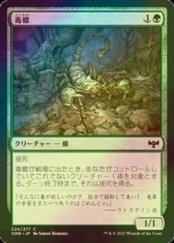 画像1: [FOIL] 毒蠍/Toxic Scorpion 【日本語版】 [VOW-緑C]