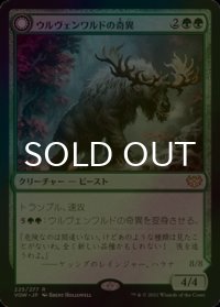 [FOIL] ウルヴェンワルドの奇異/Ulvenwald Oddity 【日本語版】 [VOW-緑R]