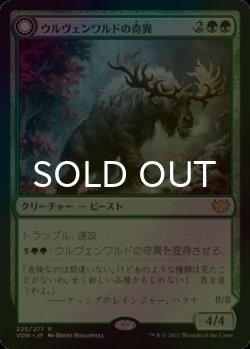 画像1: [FOIL] ウルヴェンワルドの奇異/Ulvenwald Oddity 【日本語版】 [VOW-緑R]
