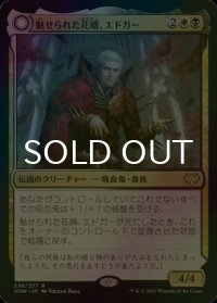 [FOIL] 魅せられた花婿、エドガー/Edgar, Charmed Groom 【日本語版】 [VOW-金R]