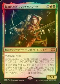 [FOIL] 結ばれた者、ハラナとアレイナ/Halana and Alena, Partners 【日本語版】 [VOW-金R]