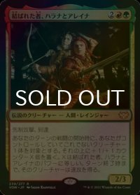 [FOIL] 結ばれた者、ハラナとアレイナ/Halana and Alena, Partners 【日本語版】 [VOW-金R]