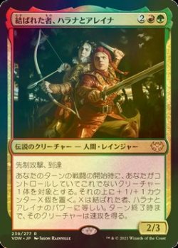 画像1: [FOIL] 結ばれた者、ハラナとアレイナ/Halana and Alena, Partners 【日本語版】 [VOW-金R]