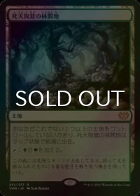 [FOIL] 死天狗茸の林間地/Deathcap Glade 【日本語版】 [VOW-土地R]