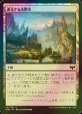 [FOIL] 進化する未開地/Evolving Wilds 【日本語版】 [VOW-土地C]