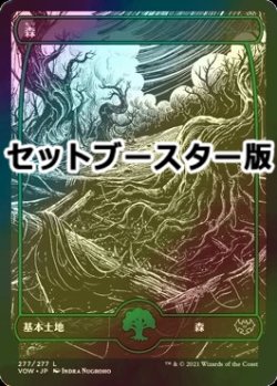 画像1: [FOIL] 森/Forest No.277 ● (日本産ブースター版) 【日本語版】 [VOW-土地C]