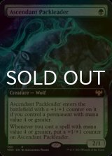 [FOIL] 隆盛な群れ率い/Ascendant Packleader (拡張アート版) 【英語版】 [VOW-緑R]