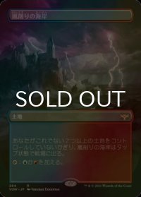 [FOIL] 嵐削りの海岸/Stormcarved Coast (全面アート・海外産ブースター版) 【日本語版】 [VOW-土地R]