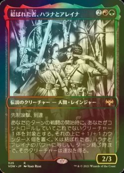 画像1: [FOIL] 結ばれた者、ハラナとアレイナ/Halana and Alena, Partners (ショーケース・海外産ブースター版) 【日本語版】 [VOW-金R]