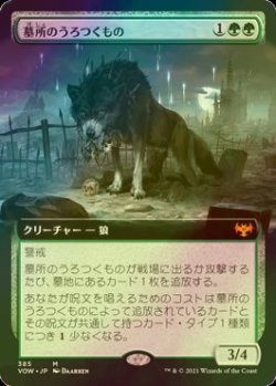 画像1: [FOIL] 墓所のうろつくもの/Cemetery Prowler (拡張アート版) 【日本語版】 [VOW-緑MR]